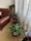 Three large potted plants