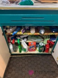 Under the sink cabinet and pantry cleaning supplies