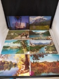 Postcards and Notecards