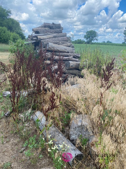 Large stack season camp firewood cut