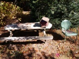 80 in picnic table, birdhouse, and vintage chair