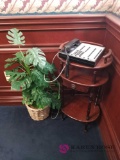 O1 - Telephone Stand, Telephone, and Plant