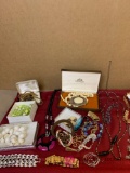 12 Costume jewelry necklaces plus bracelets and other