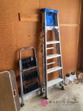 Two metal ladders