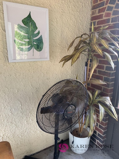 BP Large fan fake plant and picture in sunroom