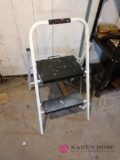 Two-step ladder (basement)