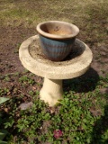 Concrete Bird bath (backyard)