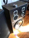 Polychrome 1200 Professional monitor speakers