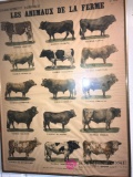 2- cow pictures