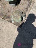 Giant stone frog backyard