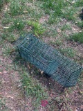 Small live animal trap