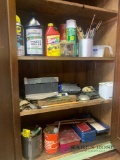 Contents of cabinet in garage insect killer paint brushes steel wall bolts and miscellaneous