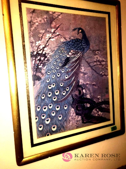 Oriential peacock picture