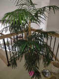 artificial plant. upstairs