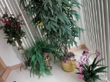 A lot of four artificial plants