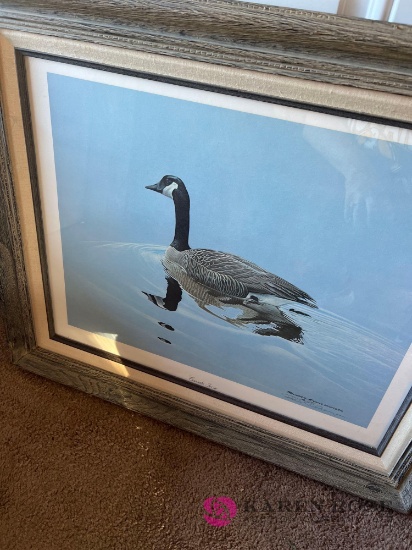 Canada goose by Richard Evans Younger signed