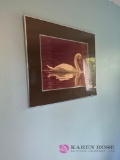 Swan framed picture