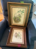 Two framed M G Loates raccoon pictures