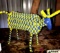 African Beaded Cow Handmade beads/wire