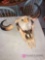 Large cow skull with eagle on head homemade 20 inches long needs to be repaired