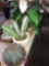 2- artificial catcus /artificial plant