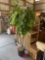 Artificial tree.