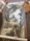 mountain scroll