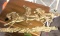 solid brass horse plaque 26 in long