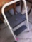 Skinny mini step ladder