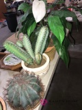 2- artificial catcus /artificial plant