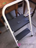 Skinny mini step ladder