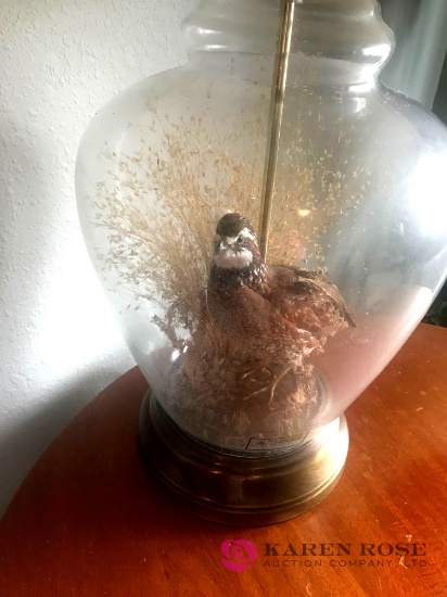 Taxidermy bird lamp