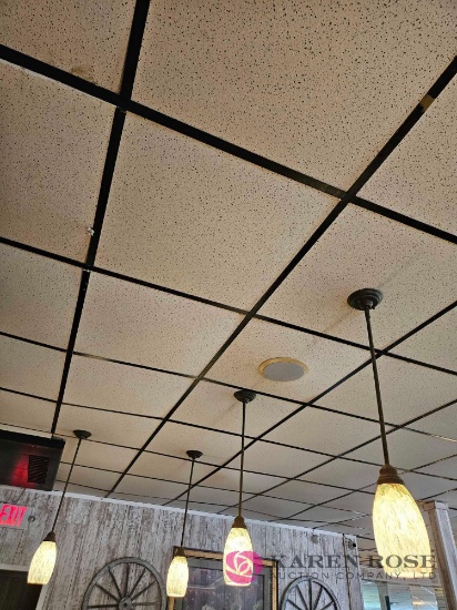 11 hanging lights
