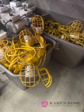 2- Totes of Hanging Lights