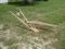 Wooden Beam Horse Drawn Walking Plow
