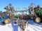 Landoll To The Max Harrow