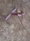 3pt Bale Fork