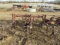 International 2 Row Cultivator