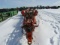 Phoenix H14 Rotary Harrow