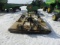 Land Pride Rotary Mower