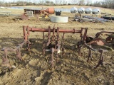 International 2 Row Cultivator