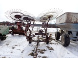 M&W 10 Wheel Hay Rake