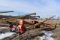 Westfield 10-73 Auger