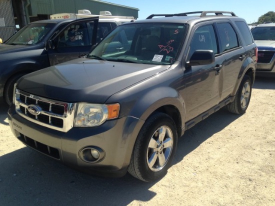 2010 FORD ESCAPE