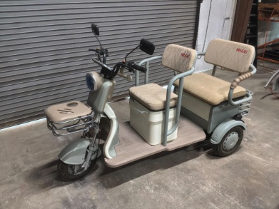 New 2025 SDLANCH IRGC40 Electric 2-seater Trike