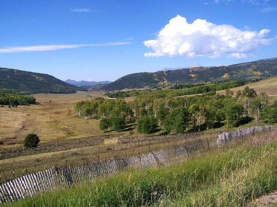 GovernmentAuction.com CO LAND, 5 AC., RANCHETTE - MOUNTAIN