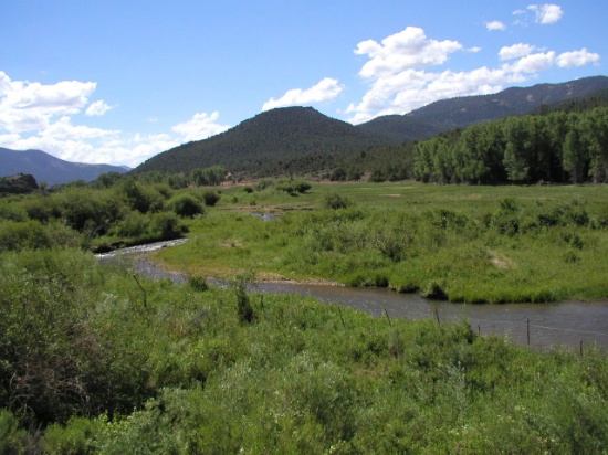 GovernmentAuction.com CO LAND, 5 AC., RANCHETTE - MOUNTAIN