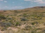 GovernmentAuction.com WY LAND, 40 AC., SWEETWATER, HUNTING,