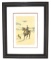 Toulouse-Lautrec (After) ''Amazone'' Rare Museum Framed 18x22 Ltd. Edition 332/350
