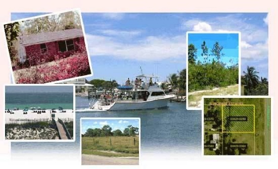 GovernmentAuction.com FL LAND, 1.25 AC., HUNTERS PARADISE -